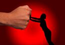 Защита женщин с психическими расстройствами в ситуации домашнего насилия – совместная задача психиатров и юристов